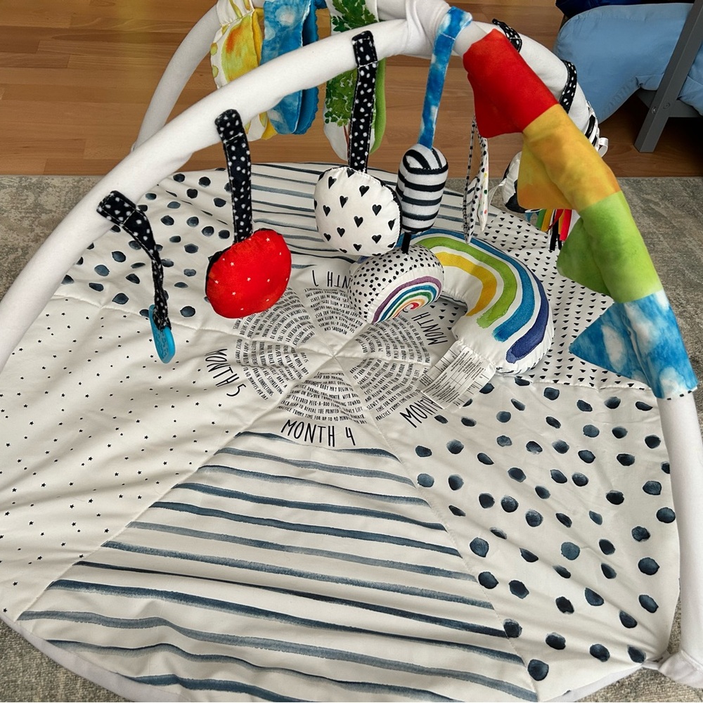 Colorful Baby Play Gym with Hanging Toys